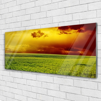 Plexiglas® Wall Art Field landscape green