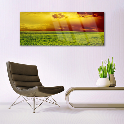 Plexiglas® Wall Art Field landscape green