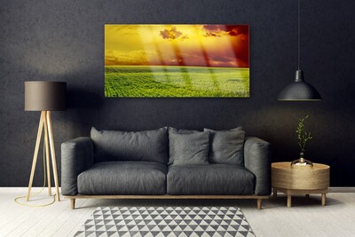 Plexiglas® Wall Art Field landscape green