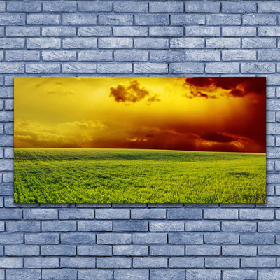 Plexiglas® Wall Art Field landscape green