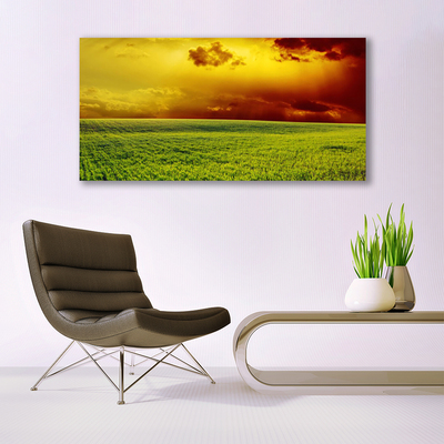 Plexiglas® Wall Art Field landscape green