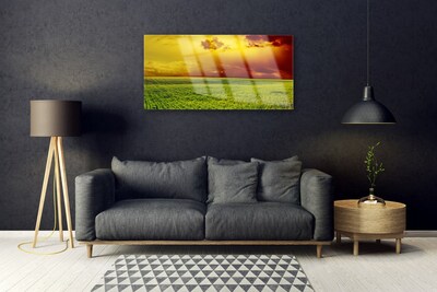 Plexiglas® Wall Art Field landscape green