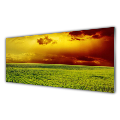 Plexiglas® Wall Art Field landscape green