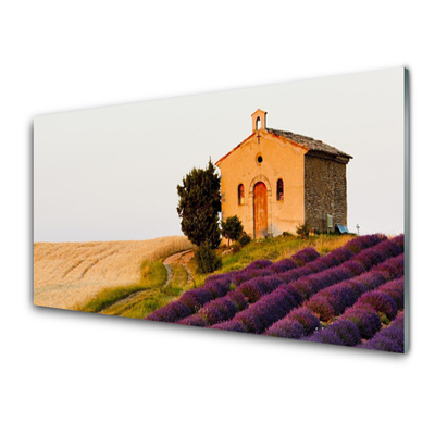 Plexiglas® Wall Art Field landscape brown green pink