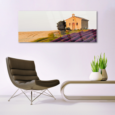 Plexiglas® Wall Art Field landscape brown green pink