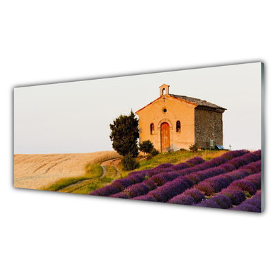 Plexiglas® Wall Art Field landscape brown green pink