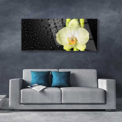 Plexiglas® Wall Art Bamboo tube flower floral green yellow