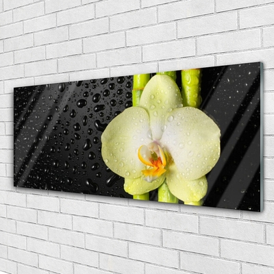 Plexiglas® Wall Art Bamboo tube flower floral green yellow