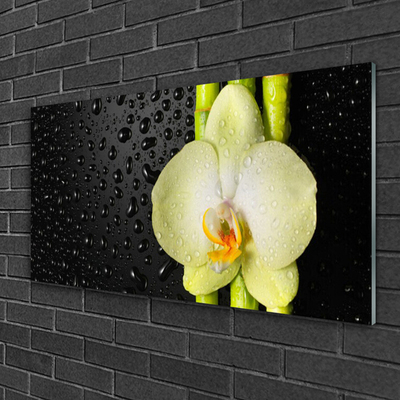 Plexiglas® Wall Art Bamboo tube flower floral green yellow