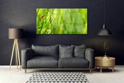 Plexiglas® Wall Art Grass ladybug nature grey red black