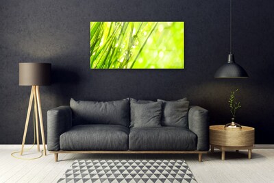 Plexiglas® Wall Art Weed nature green