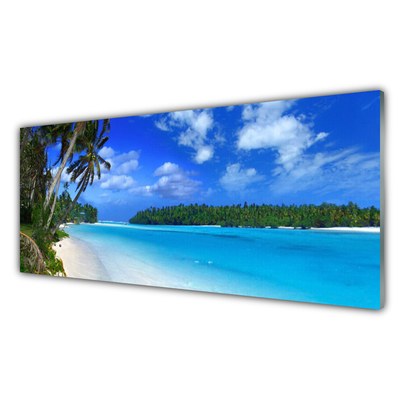 Kitchen Splashback Beach palms south sea landscape blue green