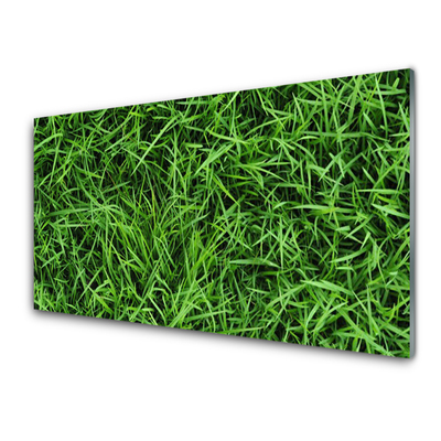 Kitchen Splashback Grass lawn floral green