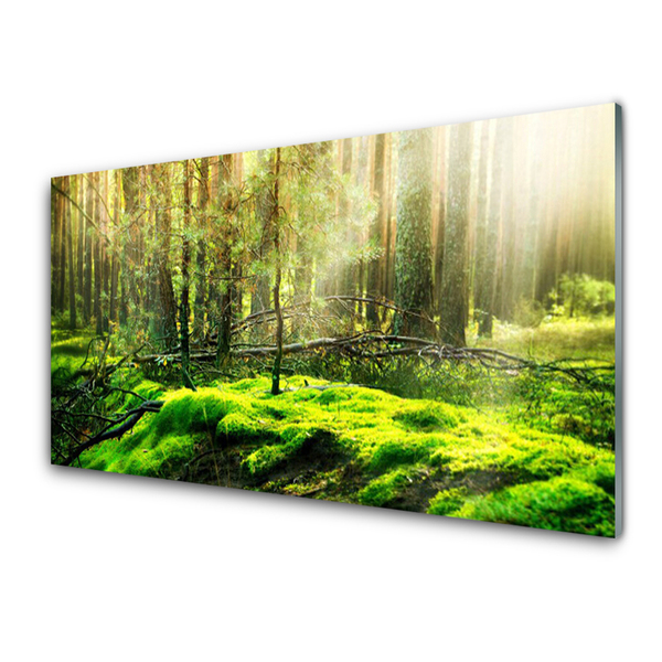 Kitchen Splashback Moss forest nature green