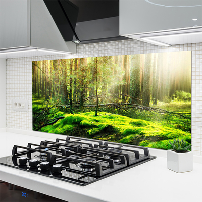 Kitchen Splashback Moss forest nature green