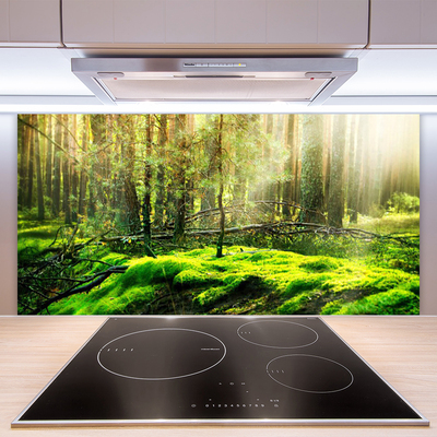 Kitchen Splashback Moss forest nature green