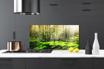 Kitchen Splashback Moss forest nature green