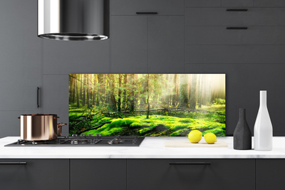 Kitchen Splashback Moss forest nature green