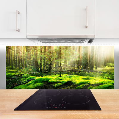 Kitchen Splashback Moss forest nature green