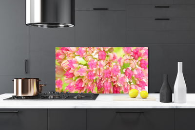 Kitchen Splashback Flower blossom floral pink