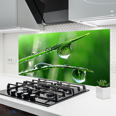 Kitchen Splashback Grass dew drops floral green