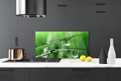 Kitchen Splashback Grass dew drops floral green