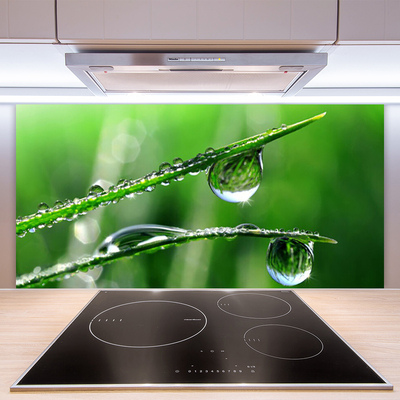 Kitchen Splashback Grass dew drops floral green