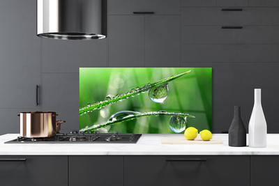 Kitchen Splashback Grass dew drops floral green