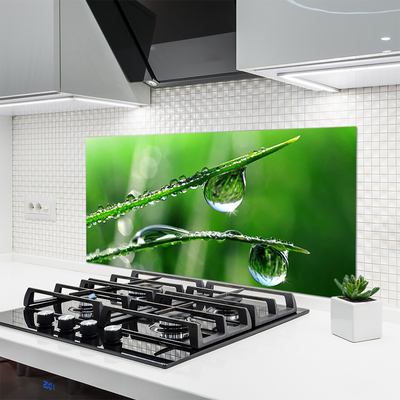 Kitchen Splashback Grass dew drops floral green