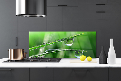 Kitchen Splashback Grass dew drops floral green