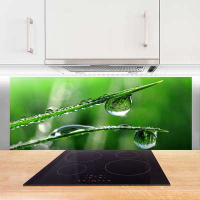 Kitchen Splashback Grass dew drops floral green