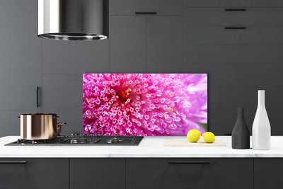 Kitchen Splashback Flower floral pink