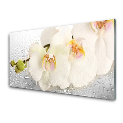 Kitchen Splashback Flowers floral white grey