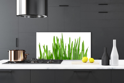 Kitchen Splashback Grass floral green white