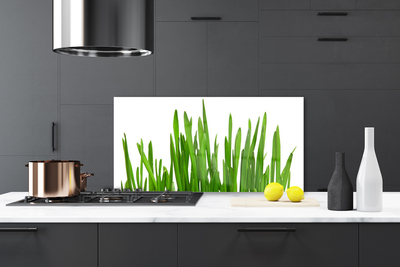 Kitchen Splashback Grass floral green white