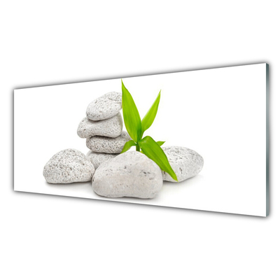 Kitchen Splashback Stones nature grey green white