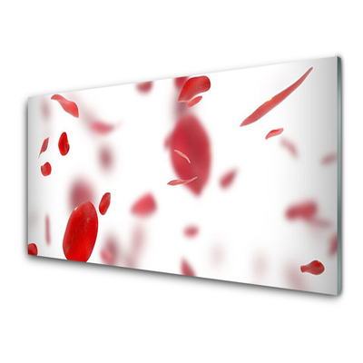 Kitchen Splashback Rose petals floral red white