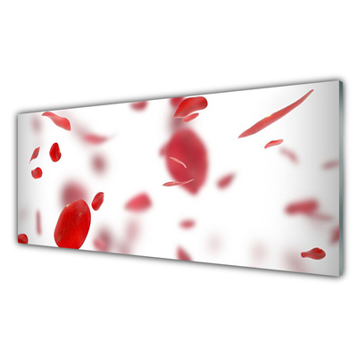 Kitchen Splashback Rose petals floral red white