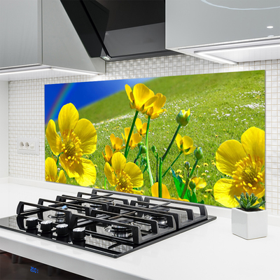 Kitchen Splashback Meadow flowers rainbow nature yellow blue green