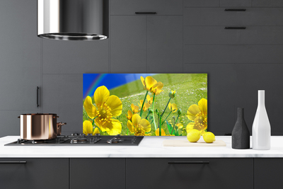 Kitchen Splashback Meadow flowers rainbow nature yellow blue green