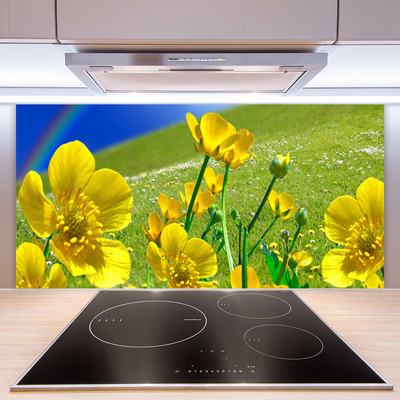 Kitchen Splashback Meadow flowers rainbow nature yellow blue green