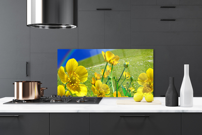 Kitchen Splashback Meadow flowers rainbow nature yellow blue green