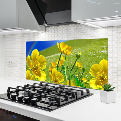 Kitchen Splashback Meadow flowers rainbow nature yellow blue green