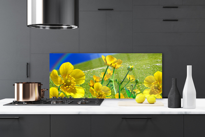 Kitchen Splashback Meadow flowers rainbow nature yellow blue green