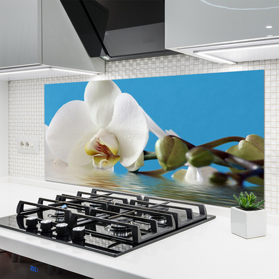 Kitchen Splashback Flower floral white green blue