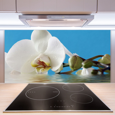 Kitchen Splashback Flower floral white green blue