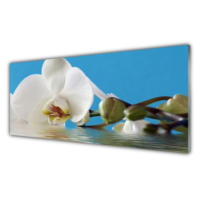 Kitchen Splashback Flower floral white green blue