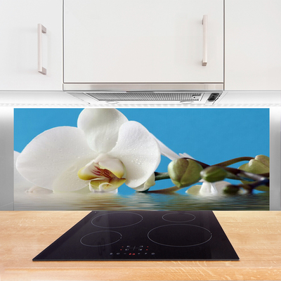 Kitchen Splashback Flower floral white green blue