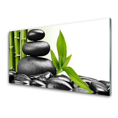 Kitchen Splashback Stones leaves art black green