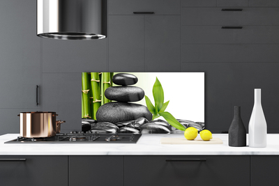 Kitchen Splashback Stones leaves art black green